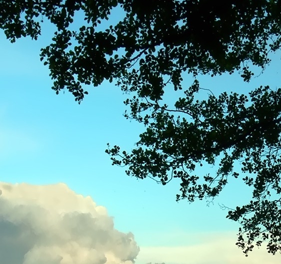 粉象生活能赚到钱吗