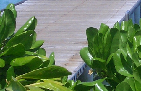 粉象生活文字录入