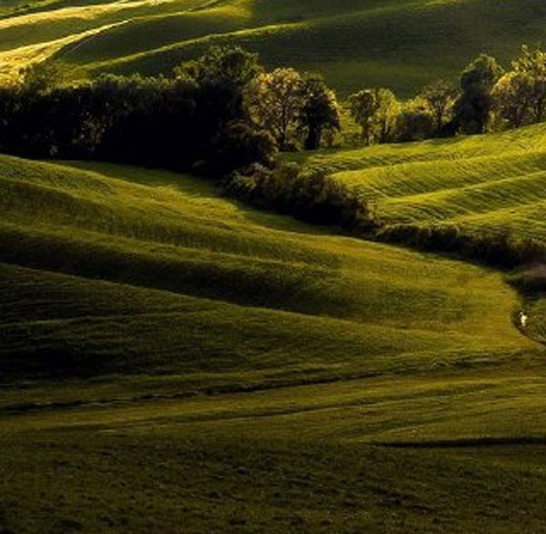 粉象生活入驻淘宝怎么样