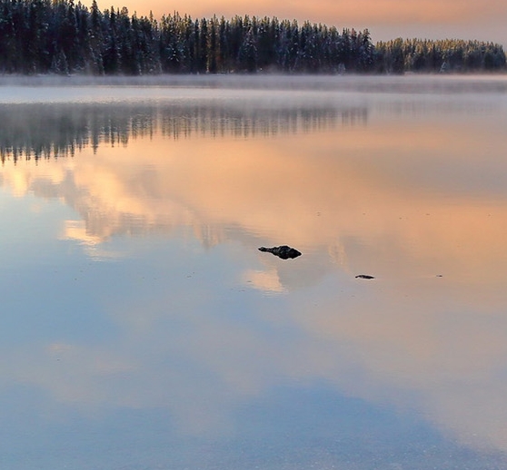 抖音视频如何快速推广
