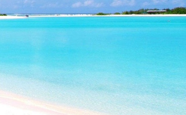 粉象生活怎么赚钱