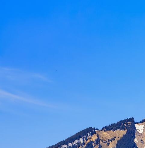 粉象生活的加盟费是多少