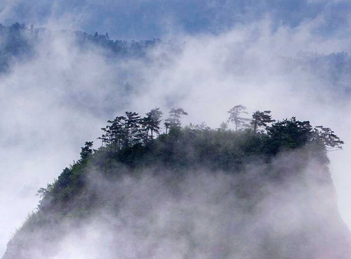 粉象生活有什么产品