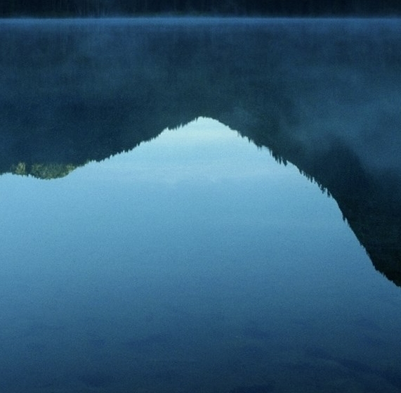 粉象生活好还是京东好