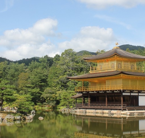 粉象生活新手怎么做