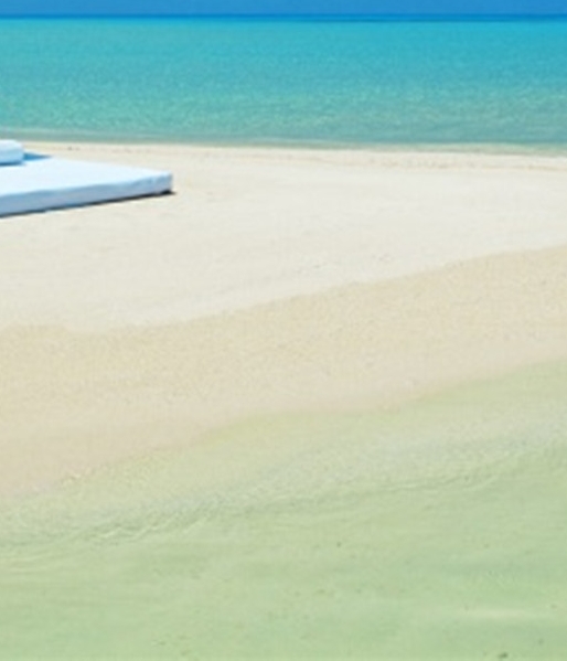 青岛粉象生活图片