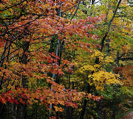 粉象生活是什么东西,真的靠谱吗