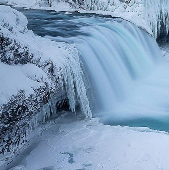 粉象生活是如何赚钱的