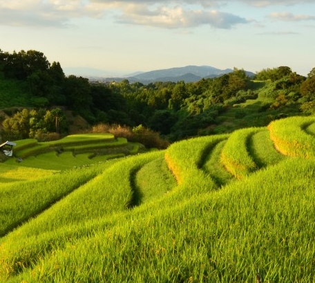 台州app粉象生活邀请码