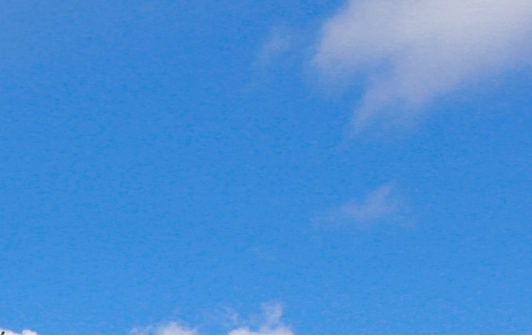 粉象生活邀请码怎么填