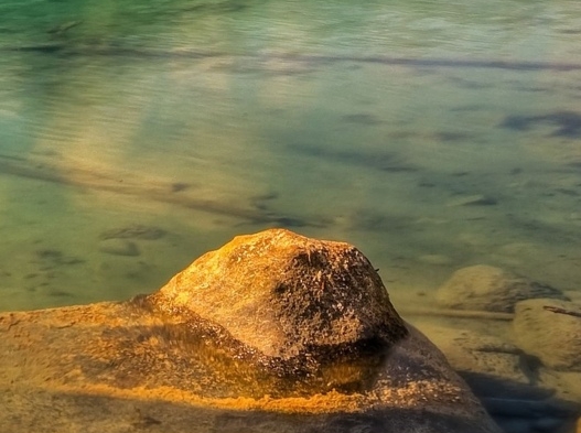 粉象生活领优惠