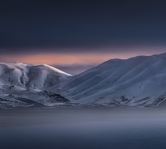 粉象生活加油版