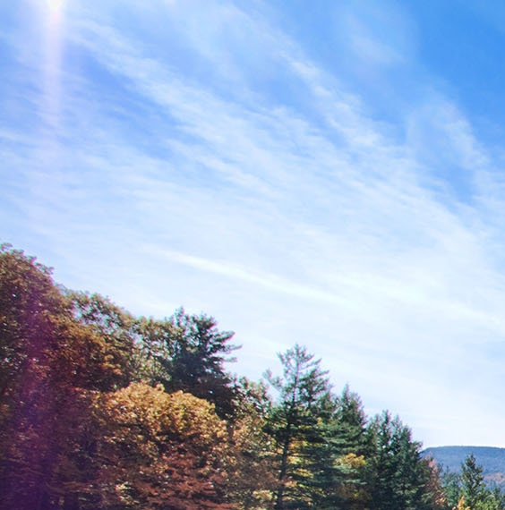 粉象生活赚钱吗