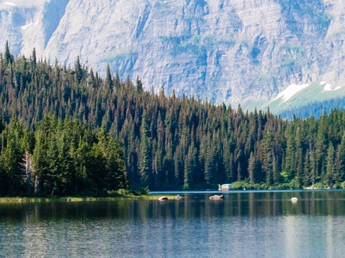 粉象生活要怎么发布
