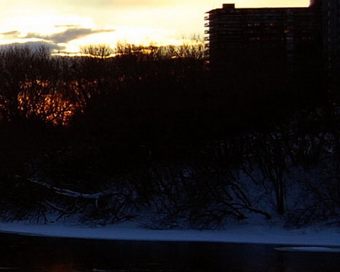 粉象生活怎样用粉象生活