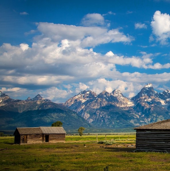粉象生活邀请码