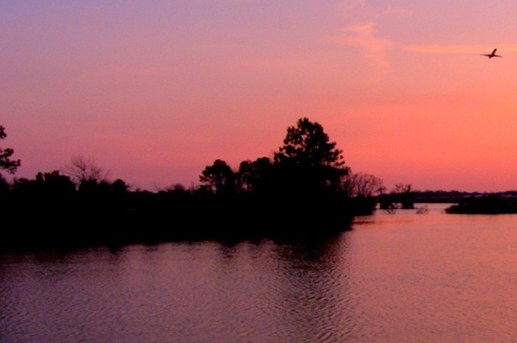 粉象生活推广收益