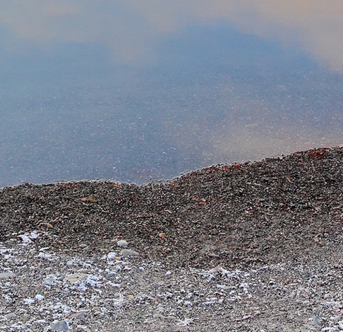 粉象生活怎么赚钱
