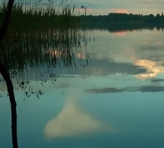 粉象生活苹果手机怎么用不了