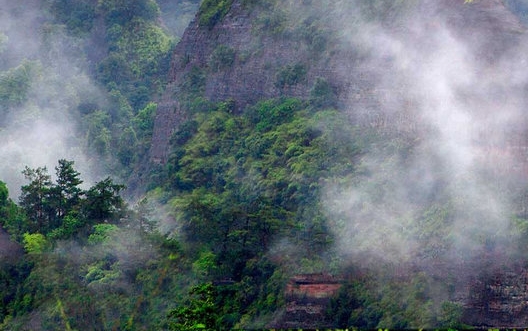 粉象生活有哪些免费的模式