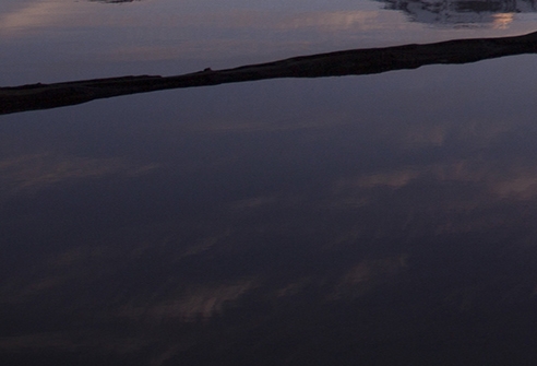 惠州粉象生活合伙人