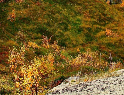 粉象生活新人推广技巧