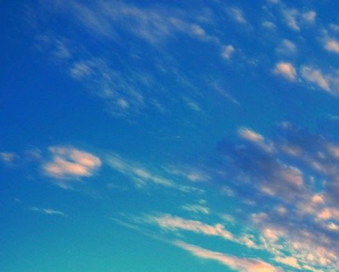 嘉峪关微生活平台