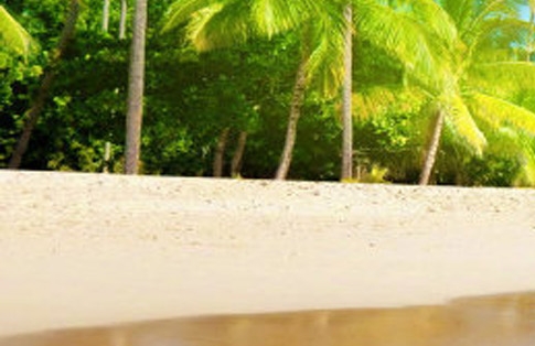 粉象生活粉丝怎么增加