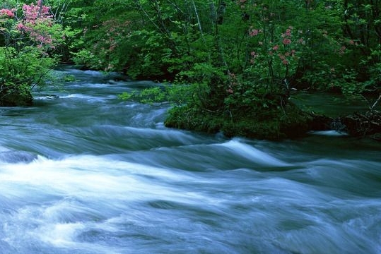 粉象生活优惠券真的便宜吗