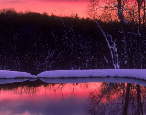 粉象生活怎么推广引流