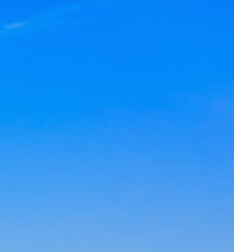 粉象生活能赚到钱吗