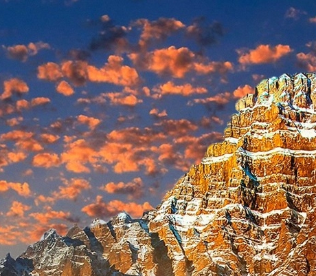 浙江粉象生活下载