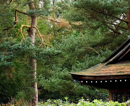 在粉象生活怎么卖东西