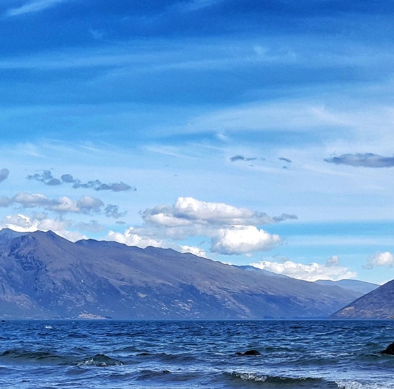 粉象生活0元购物图片