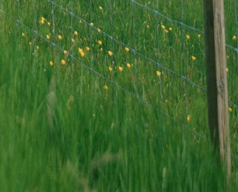 粉象生活卖货方法