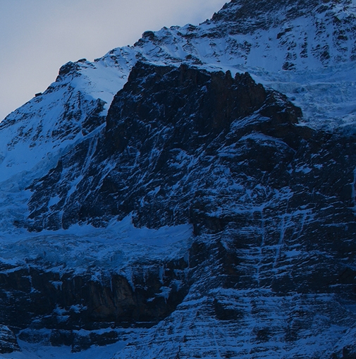 粉象生活怎么样