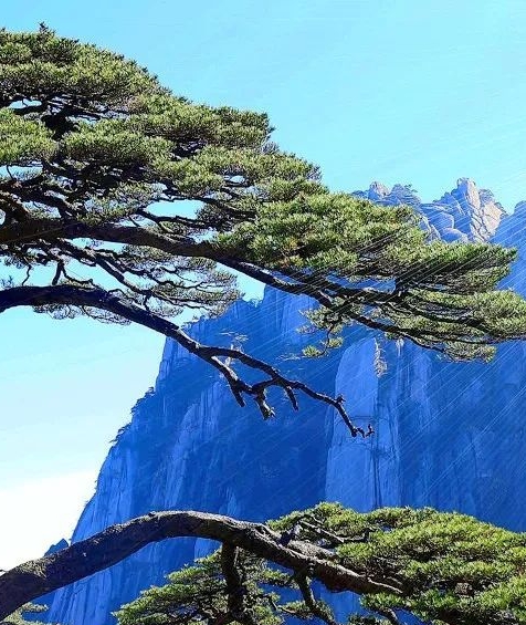 粉象生活到底能不能做