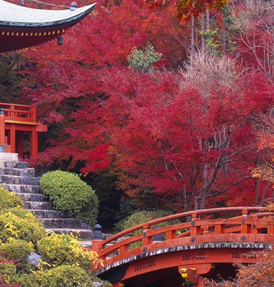 粉象生活的东西怎么提现