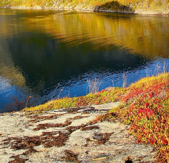 粉象生活的佣金从哪来