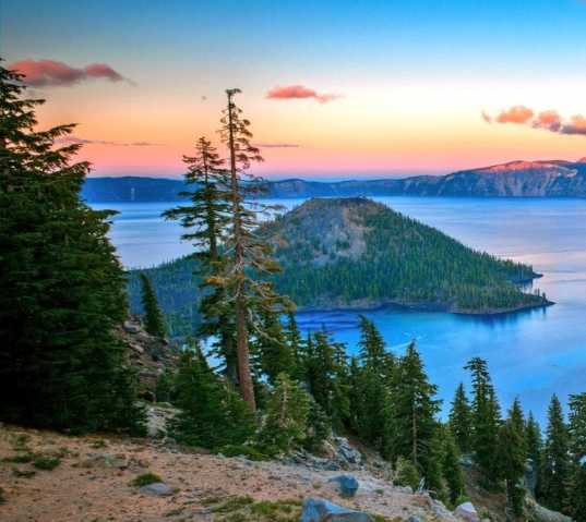 深粉象啤酒怎么样