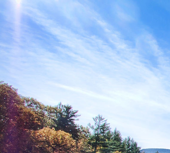 粉象生活赚钱教程