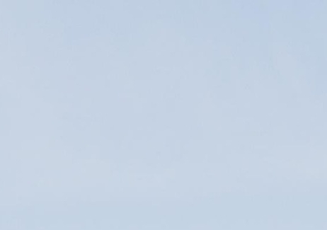 罗斯福8号像深粉象