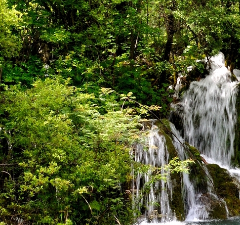 珠海粉象生活可信吗