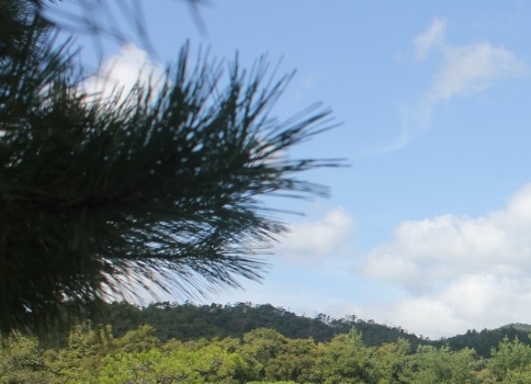 粉象生活粉丝怎么增加