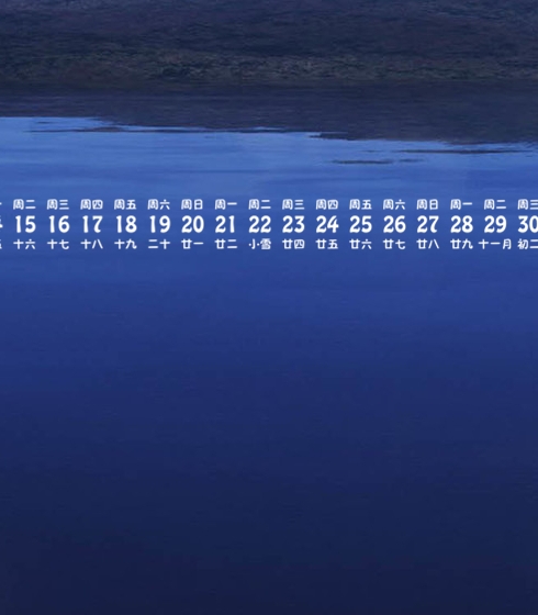 粉象生活怎么做任务