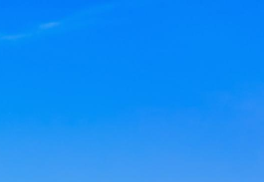 粉象生活有拼多多券吗