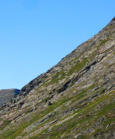 粉象生活下载app