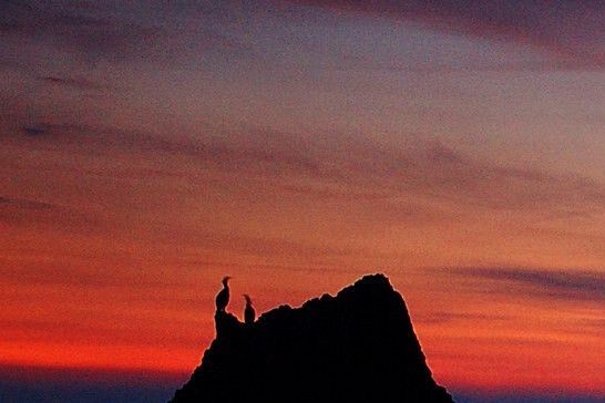 粉象生活下载官方粉象生活