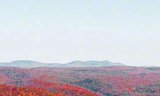 选择粉象生活注册邀请码