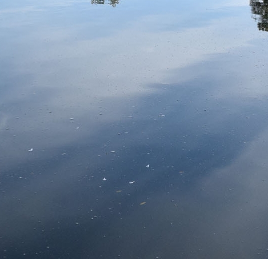 粉象生活怎么上网